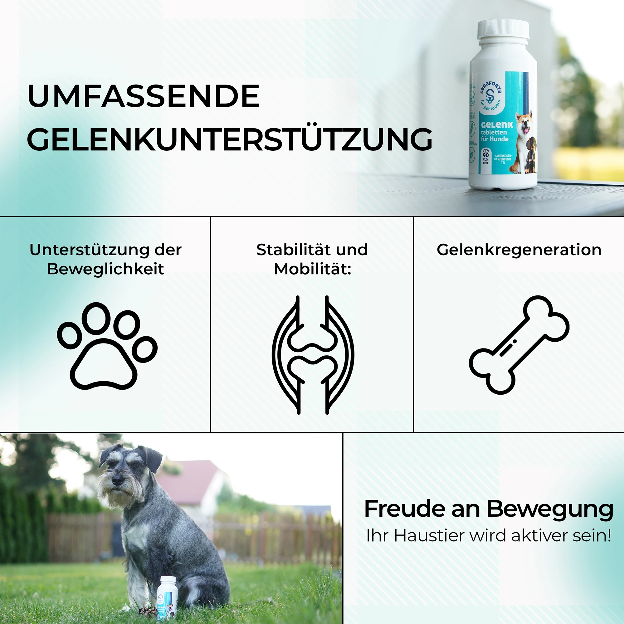 FOTOGRAFIQ Częstochowa infografiki marketingowe zwiększające zaangażowanie