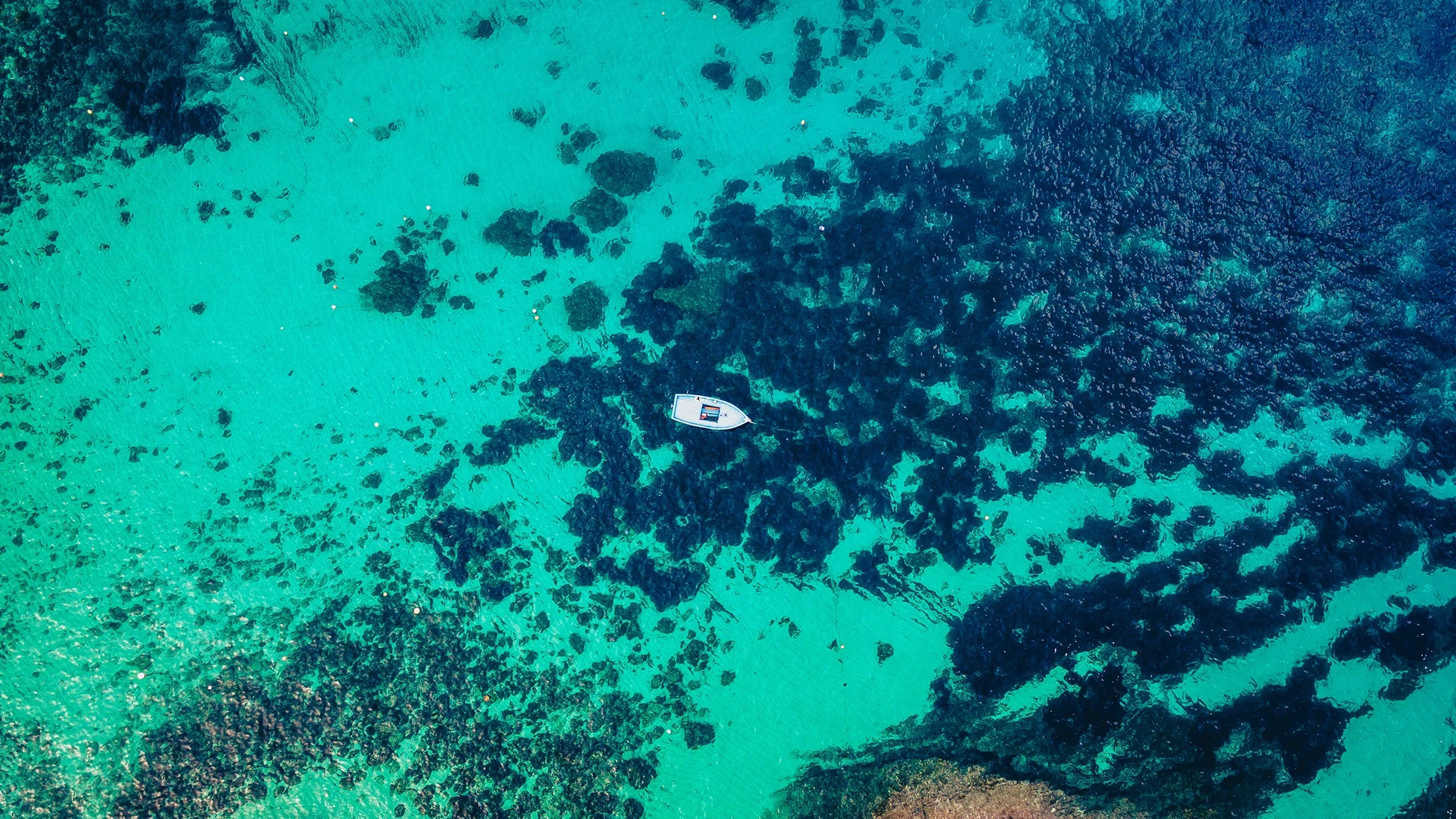 FOTOGRAFIQ Częstochowa zdjęcia wybrzeża w naturalnym świetle